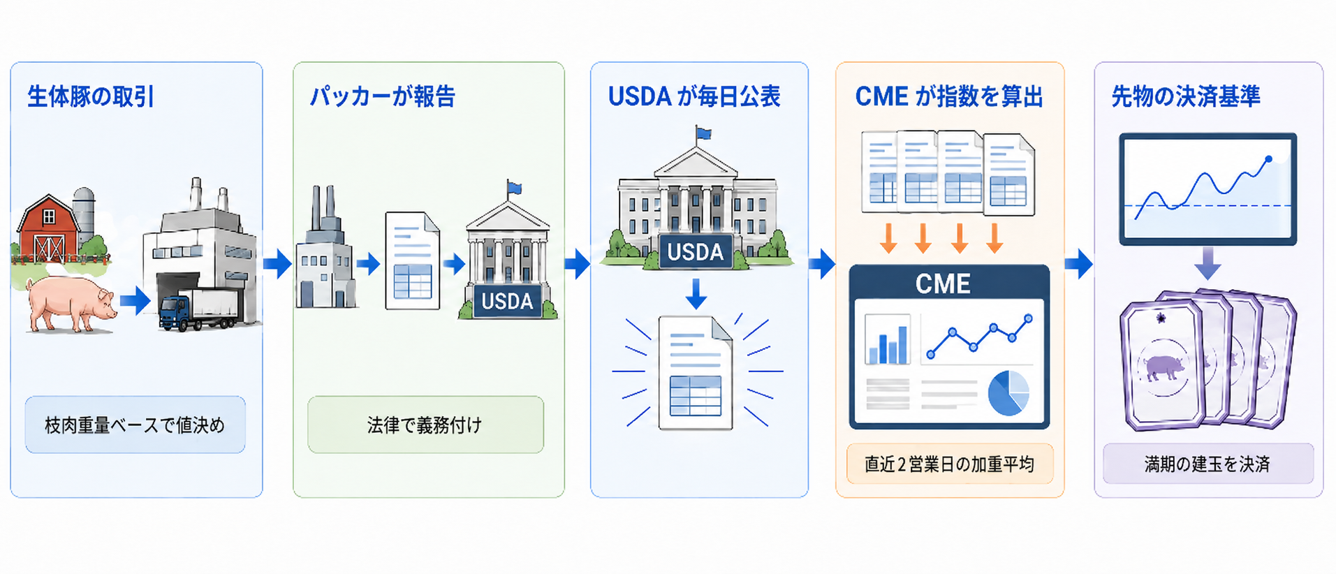 生体豚の取引(枝肉重量ベースで値決め)→ パッカーが USDA に報告(法律で義務付け)→ USDA が毎日公表 → CME が直近2営業日の加重平均で指数を算出 → 先物の決済基準、という5段のデータフロー概念図